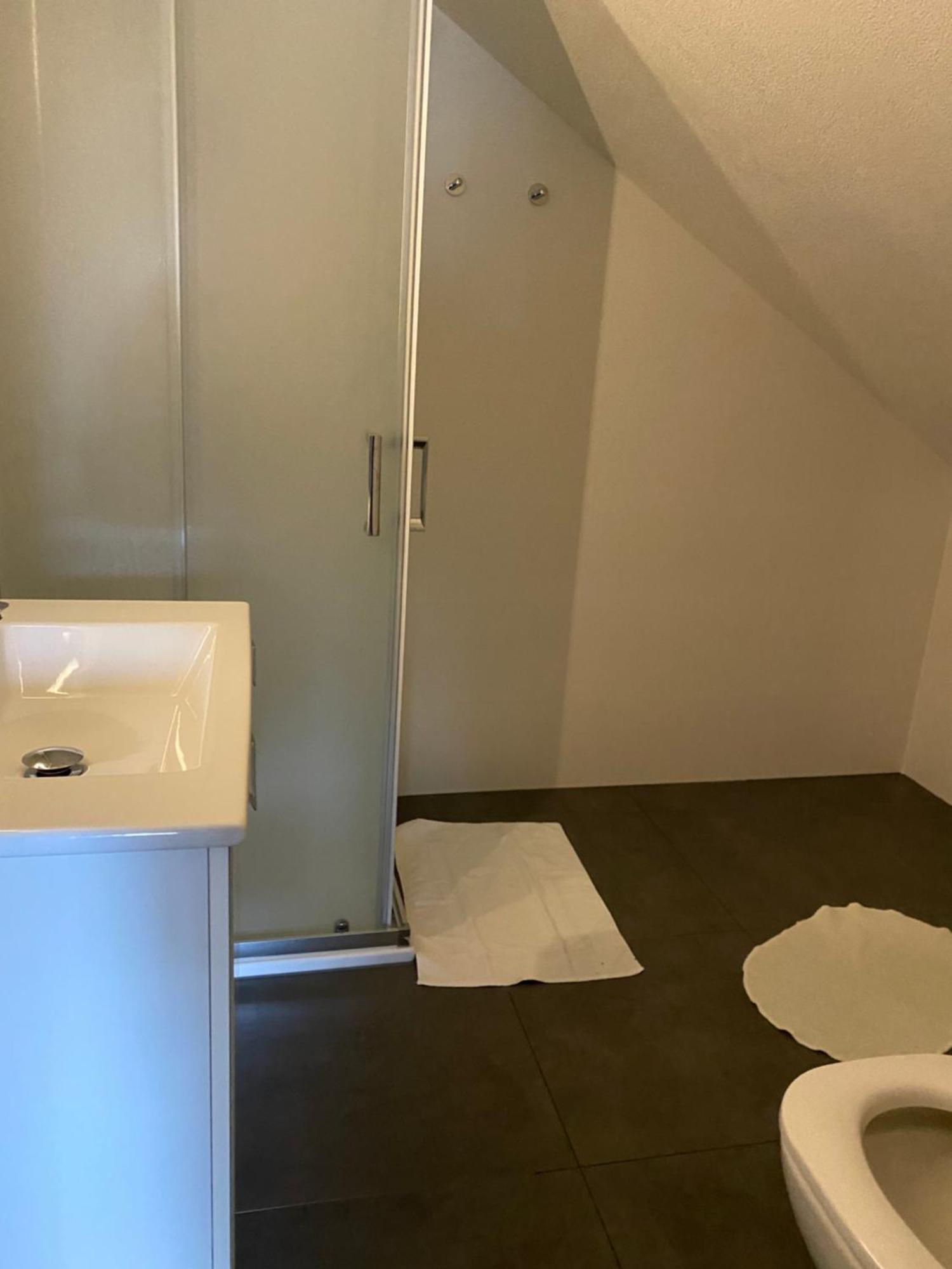 盖斯豪斯罗格酒店 莱姆戈 外观 照片